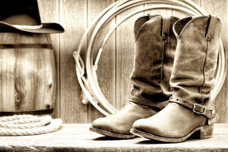Harness Boots