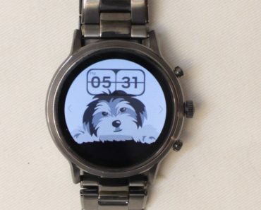 fossil gen 5 carlyle dog watch face